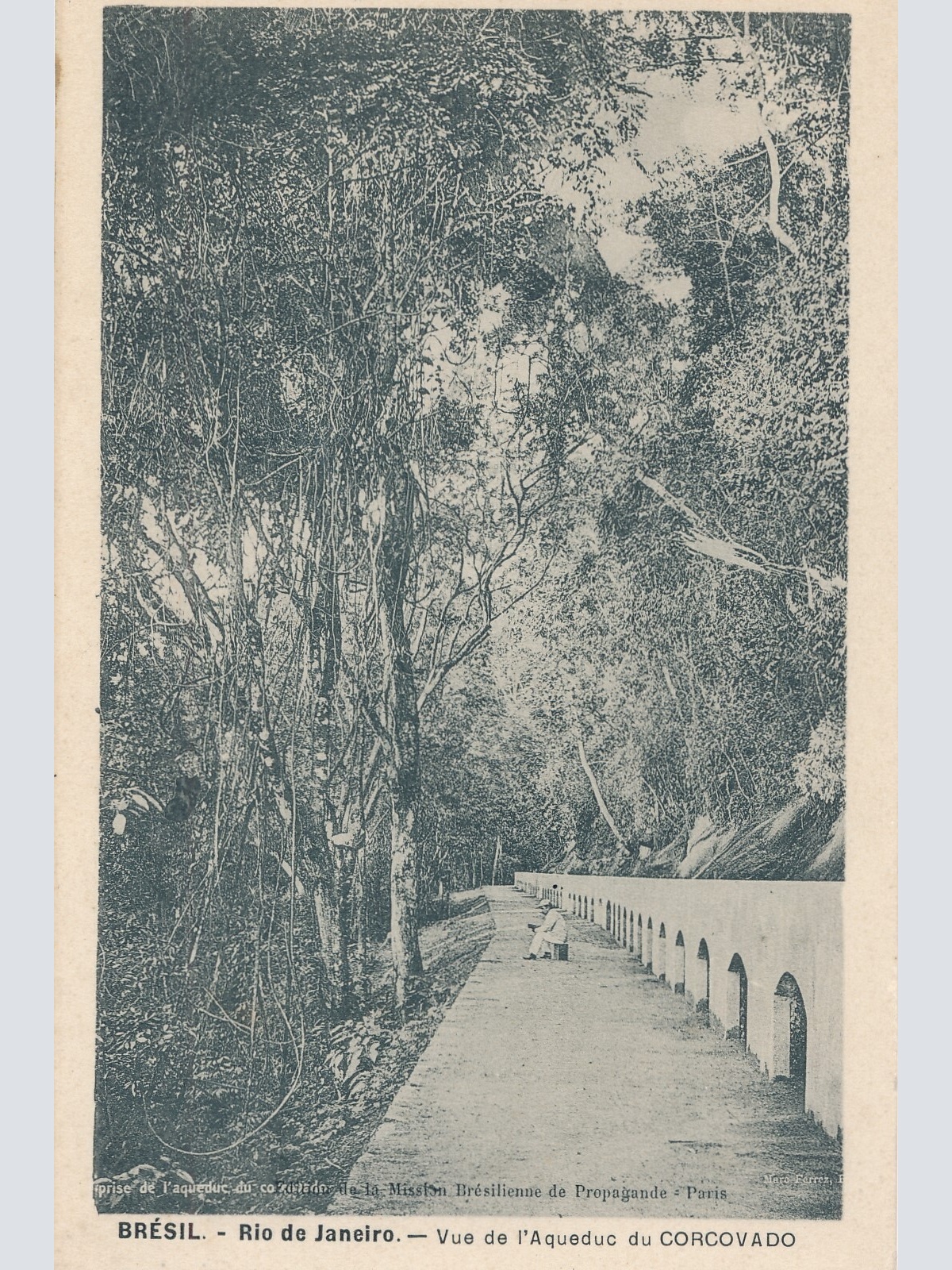 AK, Brasilien, Rio de Janeiro,  Ansichtskarte (S4190)