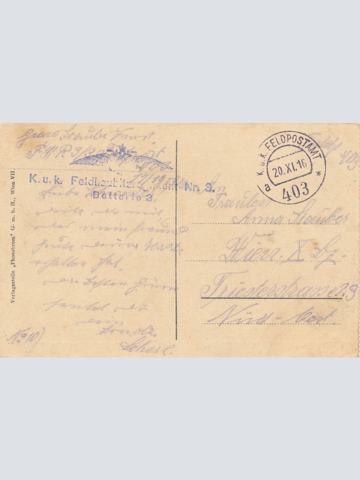 AK Gefangene Alpini Ansichtskarte (13317)