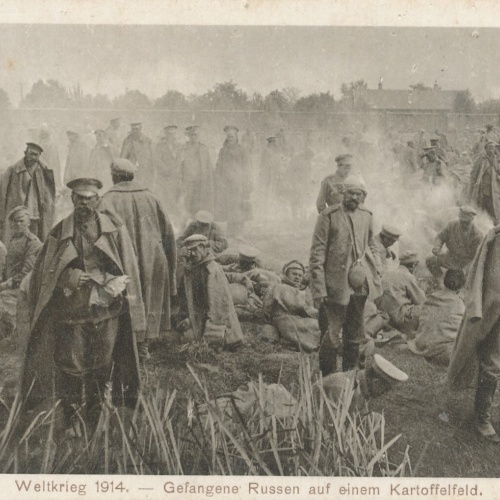 AK Gefangene Russen auf einem Kartoffelfeld Weltkrieg 1914 Ansichtskarte (13318)