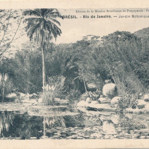 AK, Brasilien, Rio de Janeiro,  Ansichtskarte (S4191)