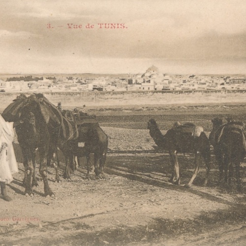 AK, Tunesien, Tunis,  Ansichtskarte (S4197)