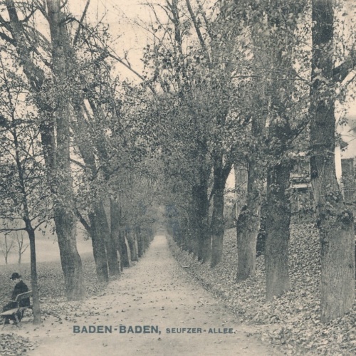 AK, Baden-Baden, Baden-Württemberg, Seufzer Allee, Ansichtskarte (S4285)