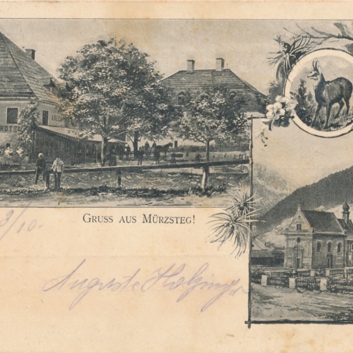 AK gruss aus Mürzsteg mit Alois Grabner Hotel Ansichtskarte (13758)