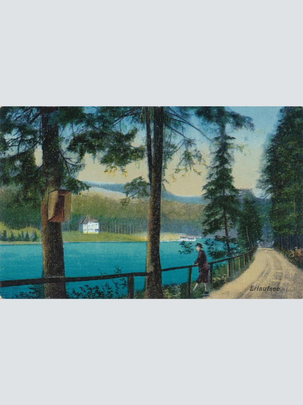 AK vom Erlaufsee Steiermark Ansichtskarte (14114)