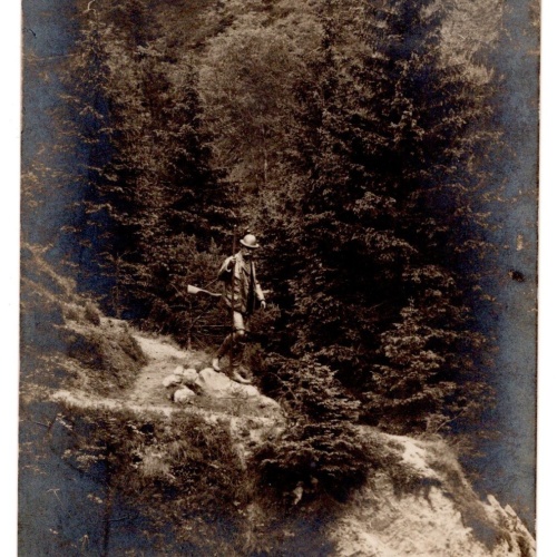 AK, Kaiserstandbild in der Walstern, Steiermark, Ansichtskarte (S4859)