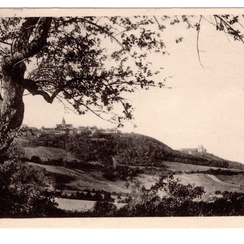 AK, Wien, Kahlenberg und Leopoldsberg, Ansichtskarte (S4880)