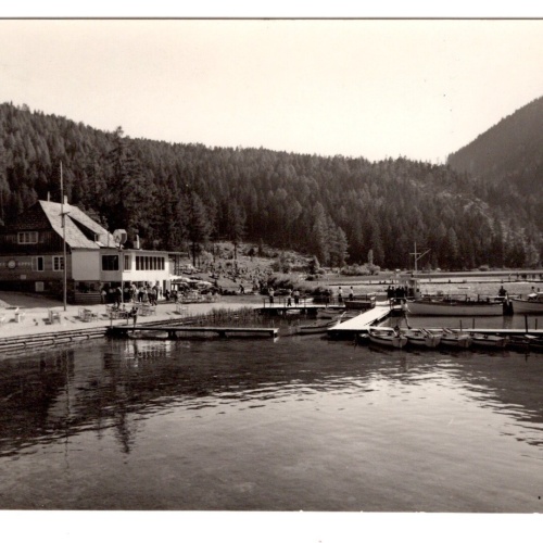 AK, Erlaufsee, Steiermark, Ansichtskarte (S5094)