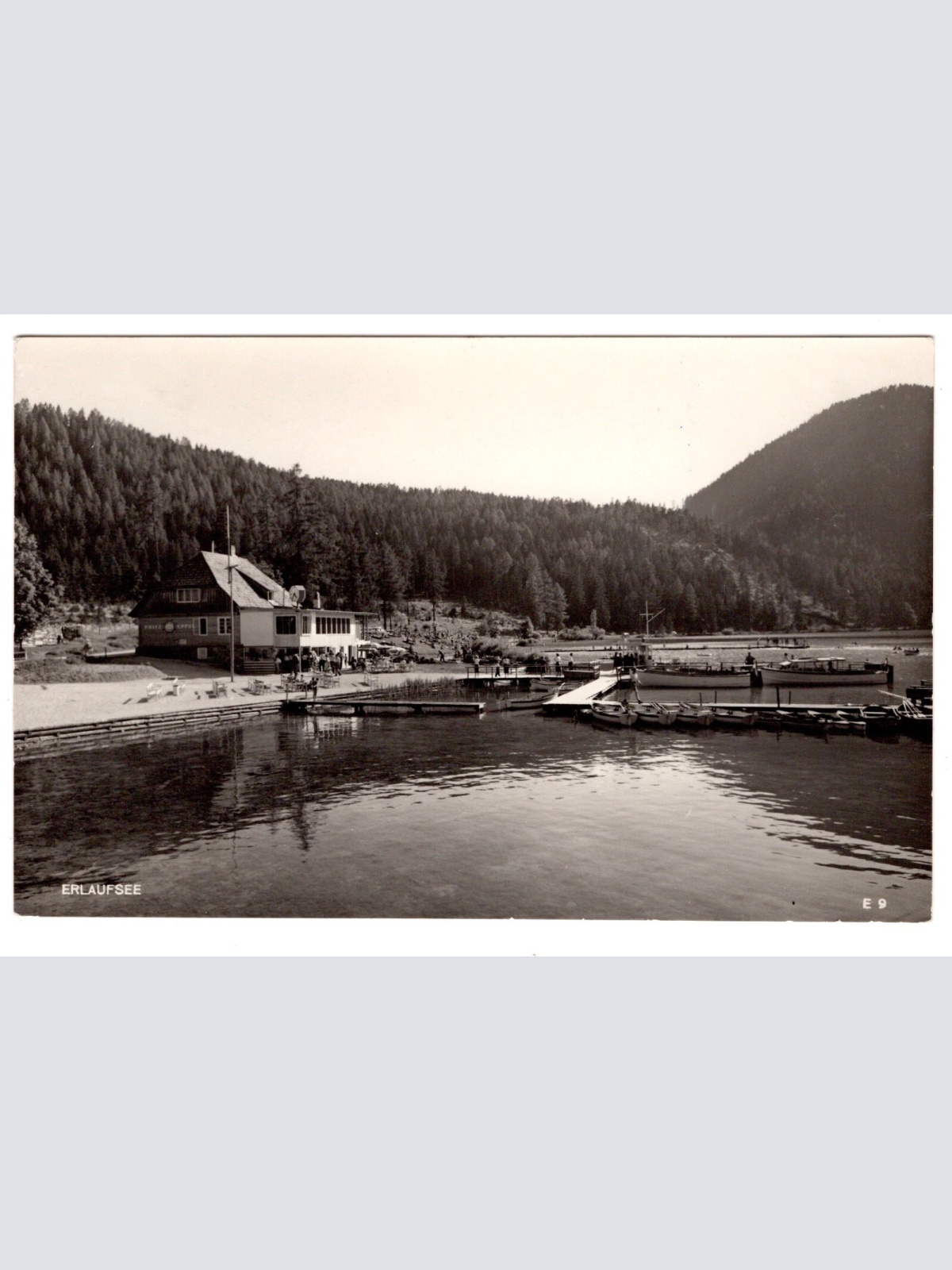 AK, Erlaufsee, Steiermark, Ansichtskarte (S5094)