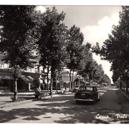 AK, Cervia, Viale Roma, Italien, Ansichtskarte (S5260)