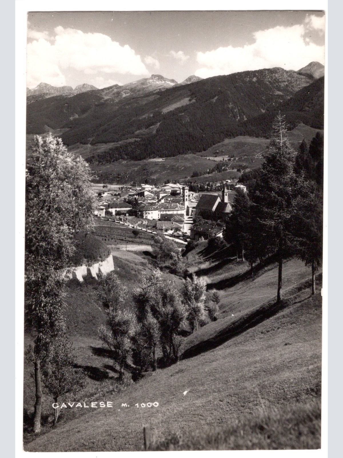 AK, Cavalese, Italien, Ansichtskarte (S5277)