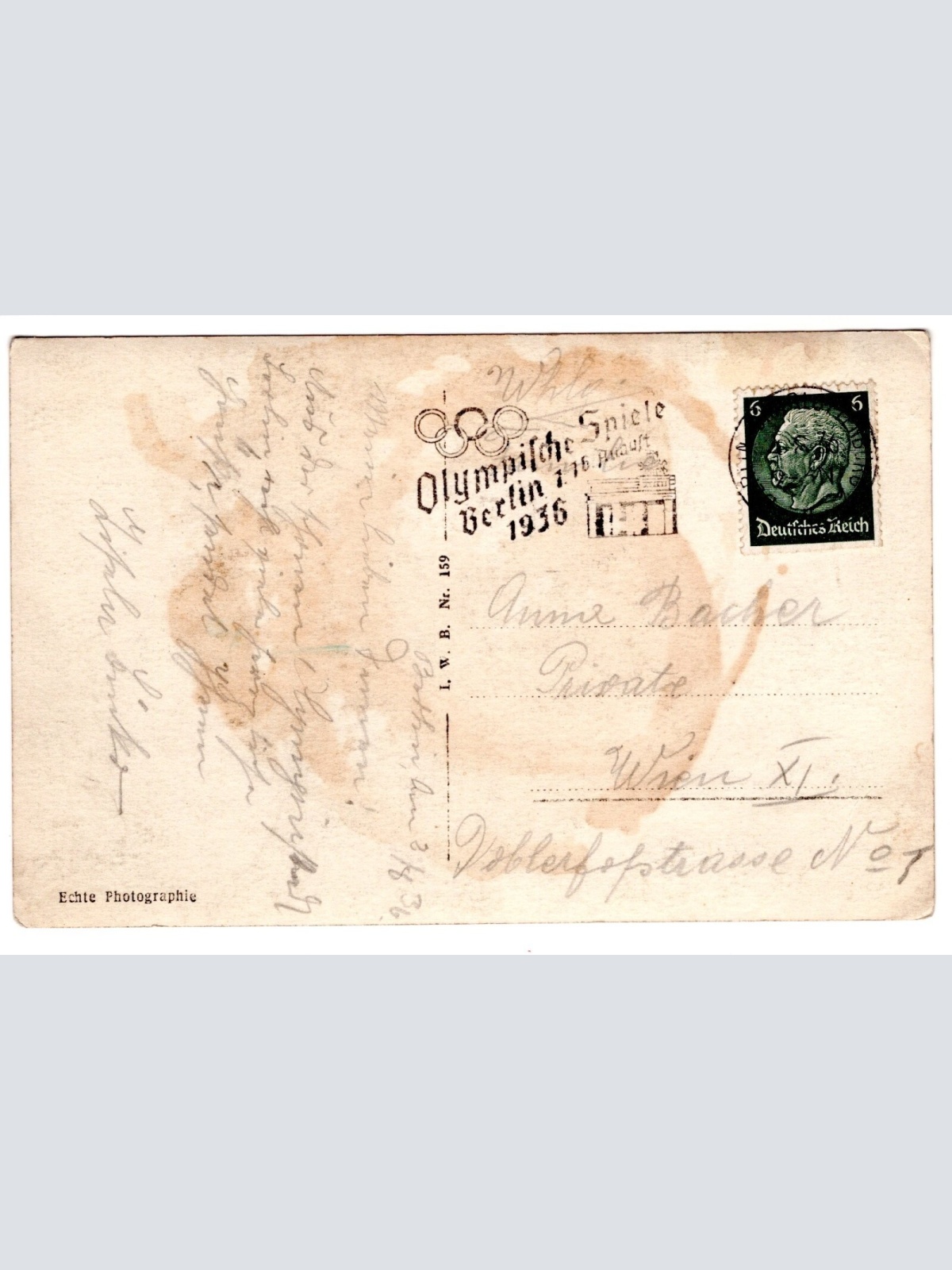 AK, Berlin, Unter den Linden, Ansichtskarte (S5419)