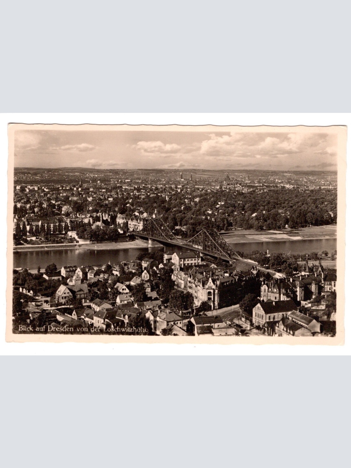 AK, Dresden, Sachsen, von der Loschwitzhöhe, Ansichtskarte (S5467)