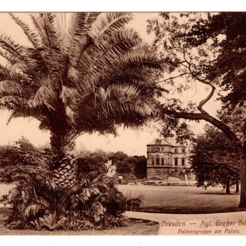 AK, Dresden, Kgl. Großer Garten, Sachsen, Ansichtskarte (S5519)