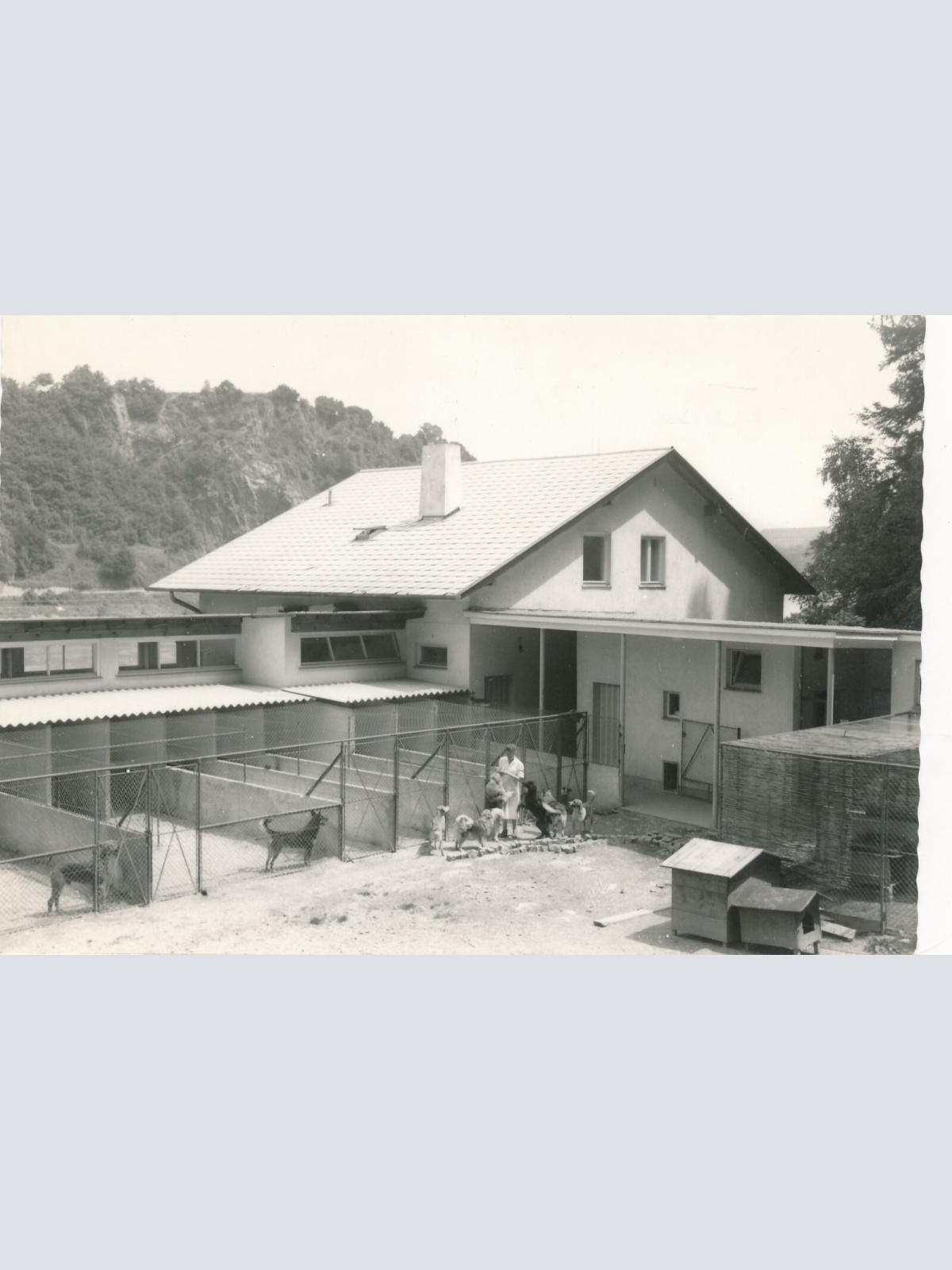 AK aus Linz mit Tierheim Oberösterreich Ansichtskarte (14151)