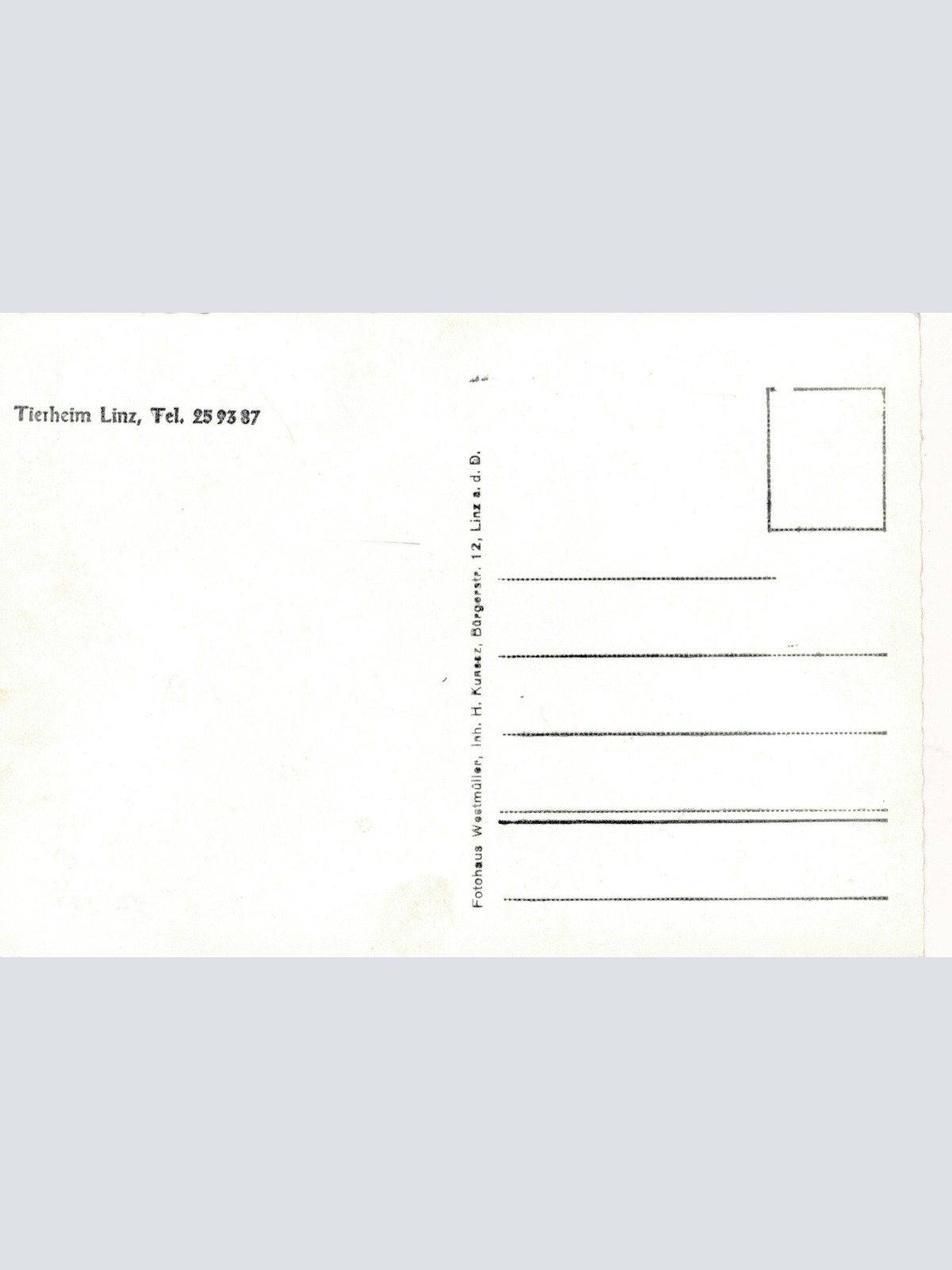 AK aus Linz mit Tierheim Oberösterreich Ansichtskarte (14151)