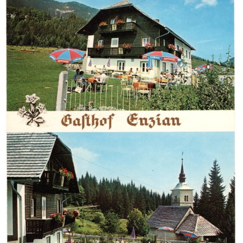 AK, Alpengasthof Zum Enzian, St. Stefan, Kärnten, Ansichtskarte (S5763)
