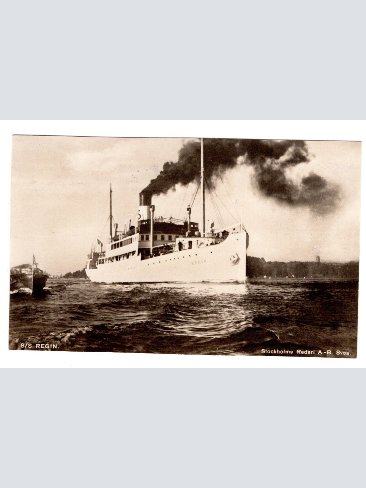 AK, S/S Regin, Stockholms Rederi A-B Svea, Ansichtskarte (S5890)