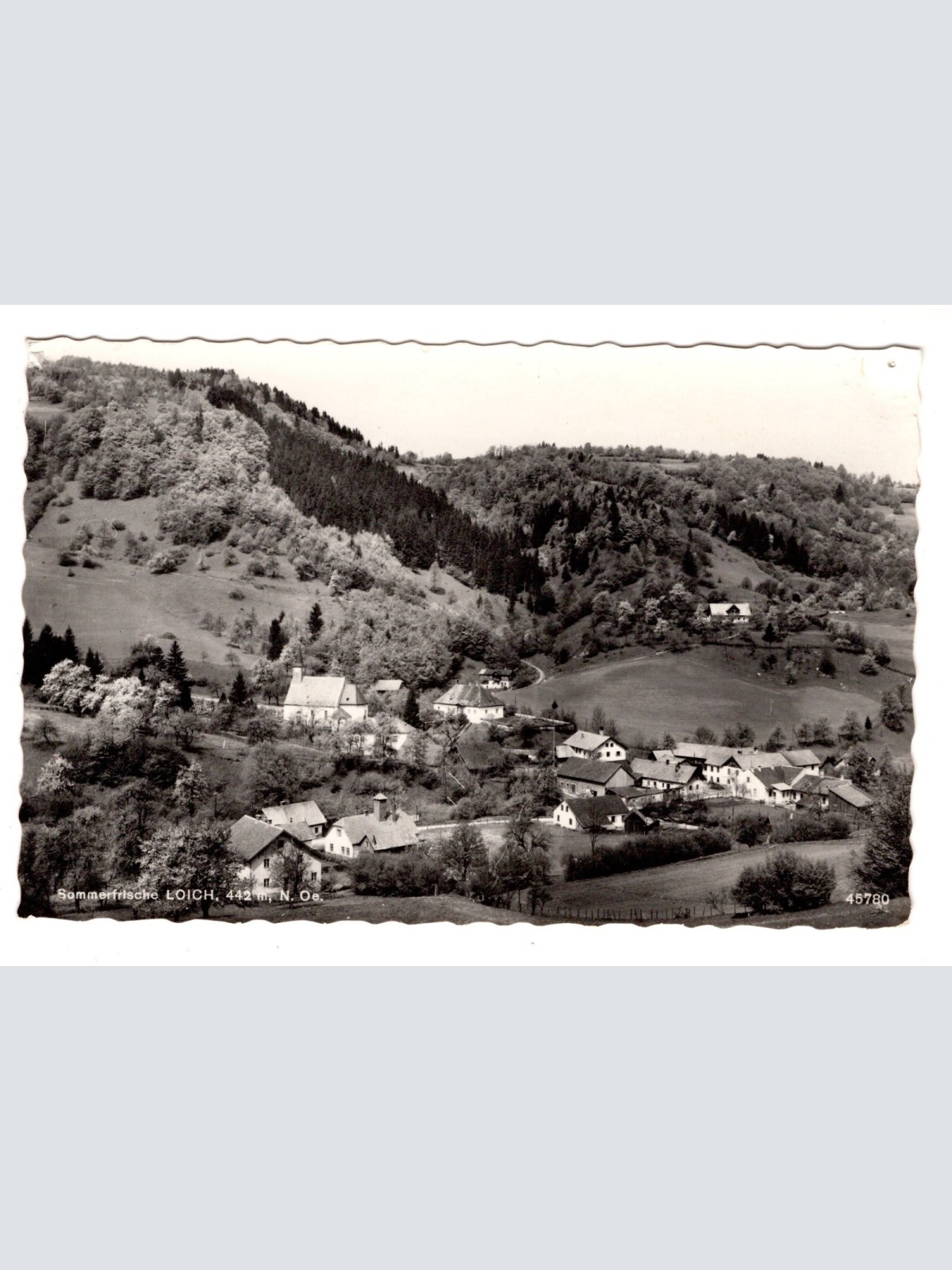 AK, Loich, Niederösterreich, Ansichtskarte (S5928)