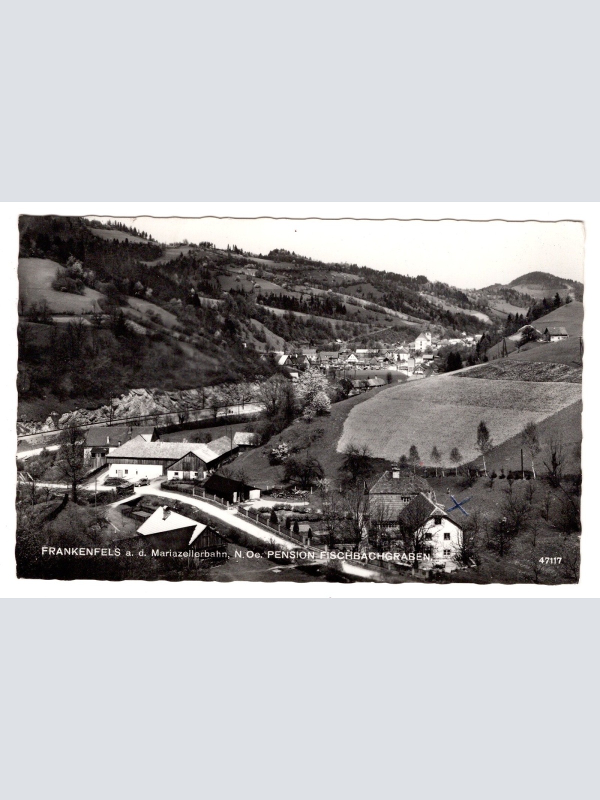 AK, Frankenfels, Pension Fischbachgraben Niederösterreich, Ansichtskarte (S5929)