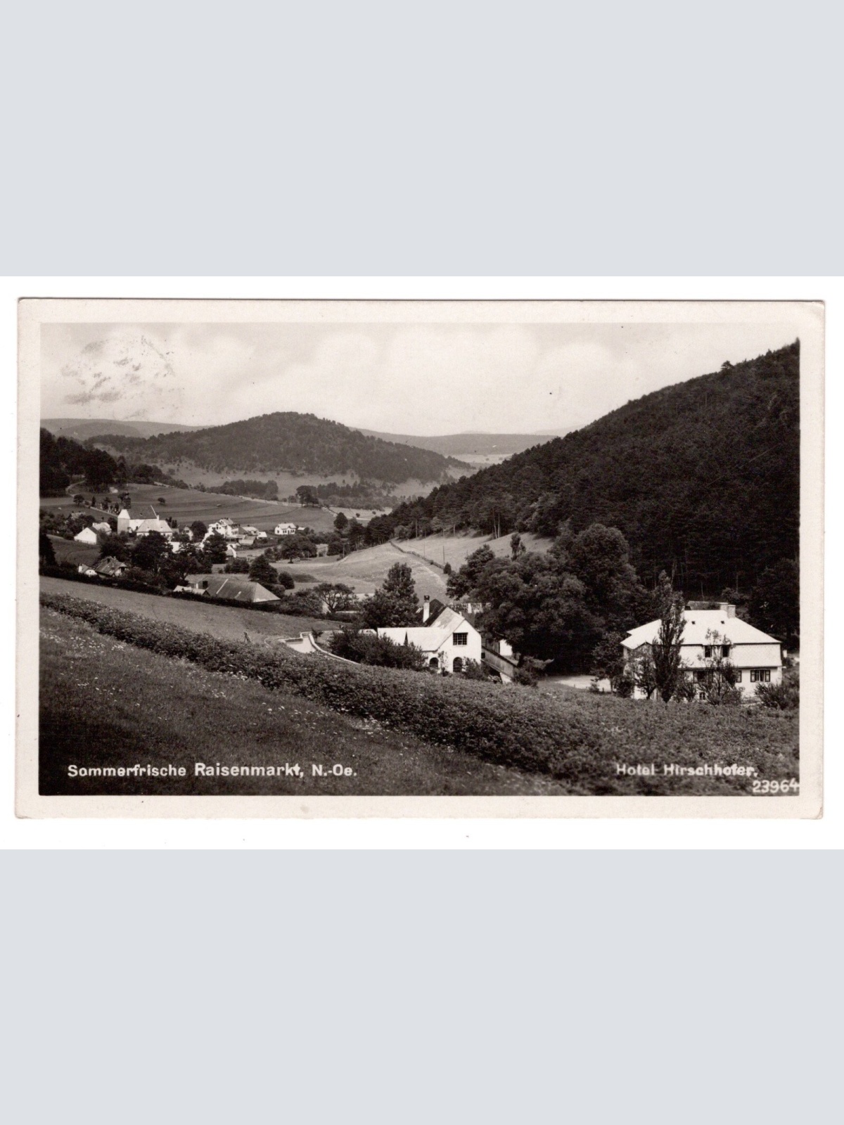 AK, Raisenmarkt, Niederösterreich, Ansichtskarte (S5943)