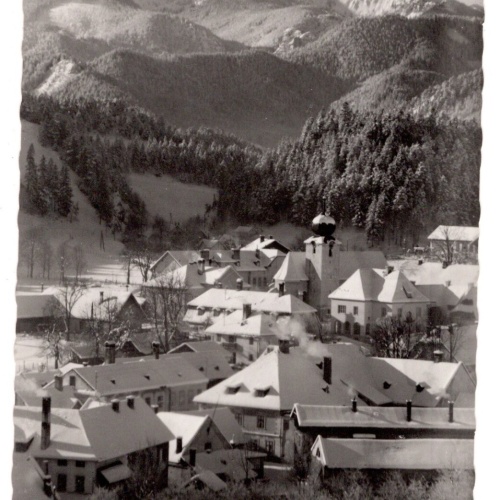 AK, Sankt Aegyd am Neuwalde, Niederösterreich, Ansichtskarte (S6015)