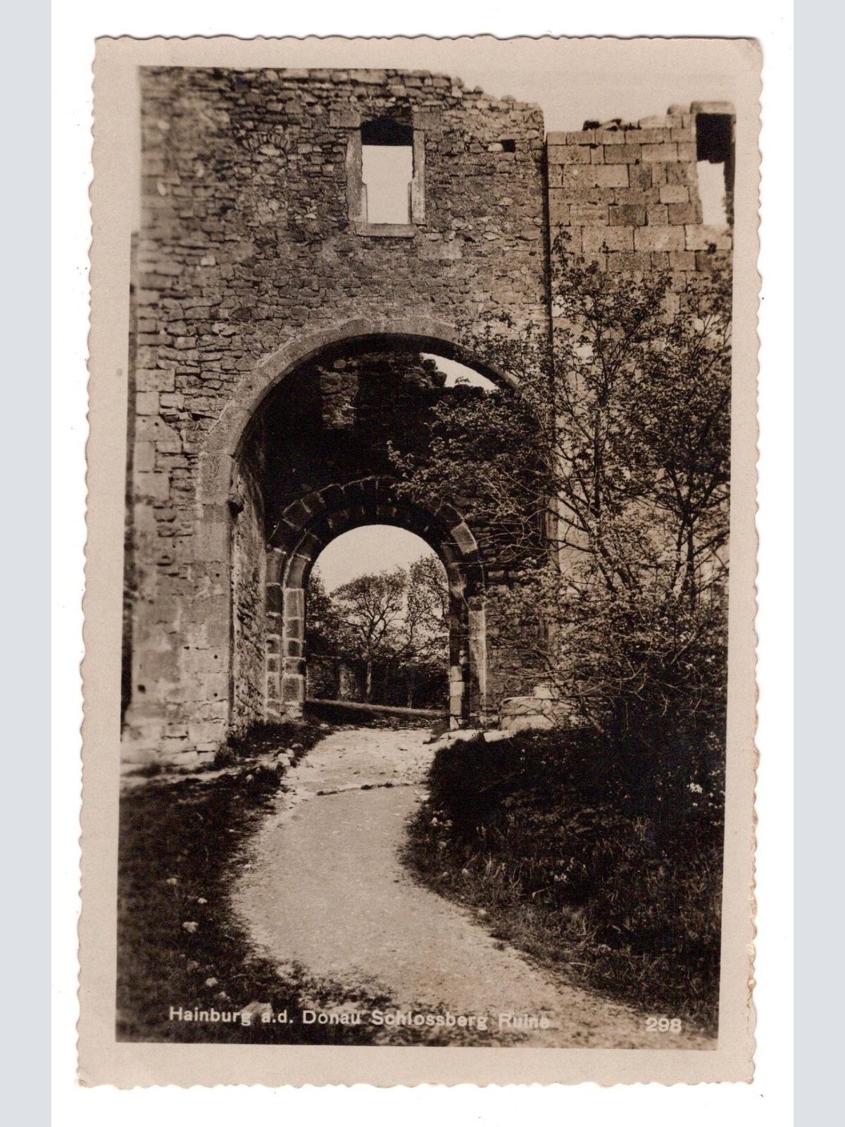 AK, Hainburg an der Donau, Ruine, Niederösterreich, Ansichtskarte (S6120)