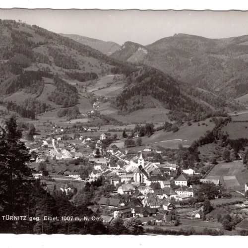 AK, Türnitz, Niederösterreich, Ansichtskarte (S6131)