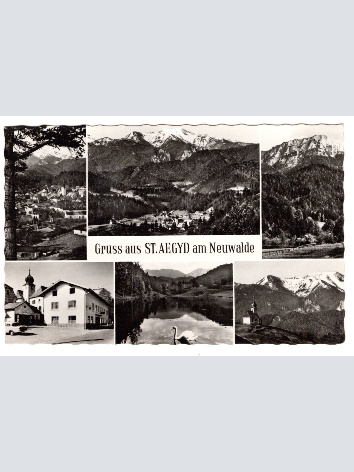 AK, Sankt Aegyd am Neuwalde, Niederösterreich, Ansichtskarte (S6152)