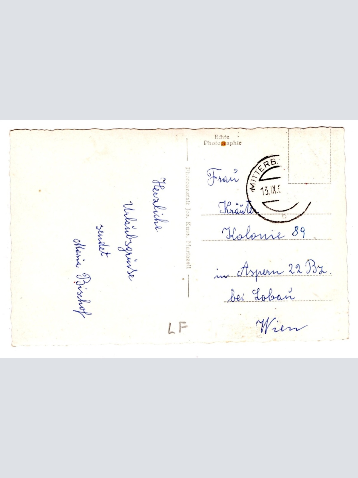 AK, Mitterbach, Ötscher, Niederösterreich, Ansichtskarte (S6155)