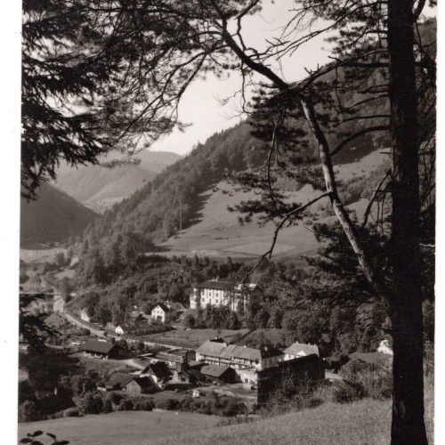 AK, Freiland, Niederösterreich, Ansichtskarte (S6156)