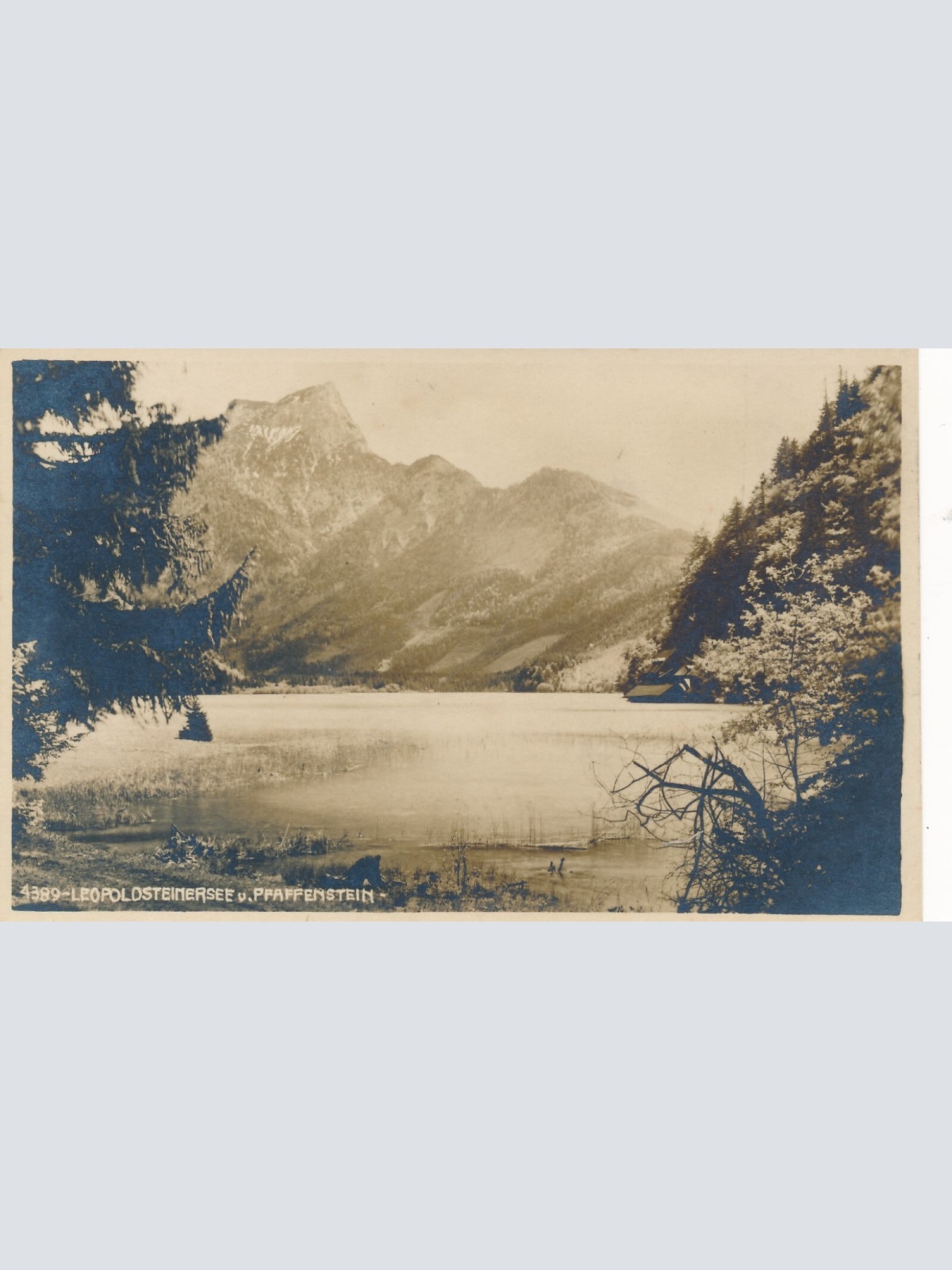 AK vom Leopoldsteinersee und Pfaffenstein Steiermark Ansichtskarte (14480)