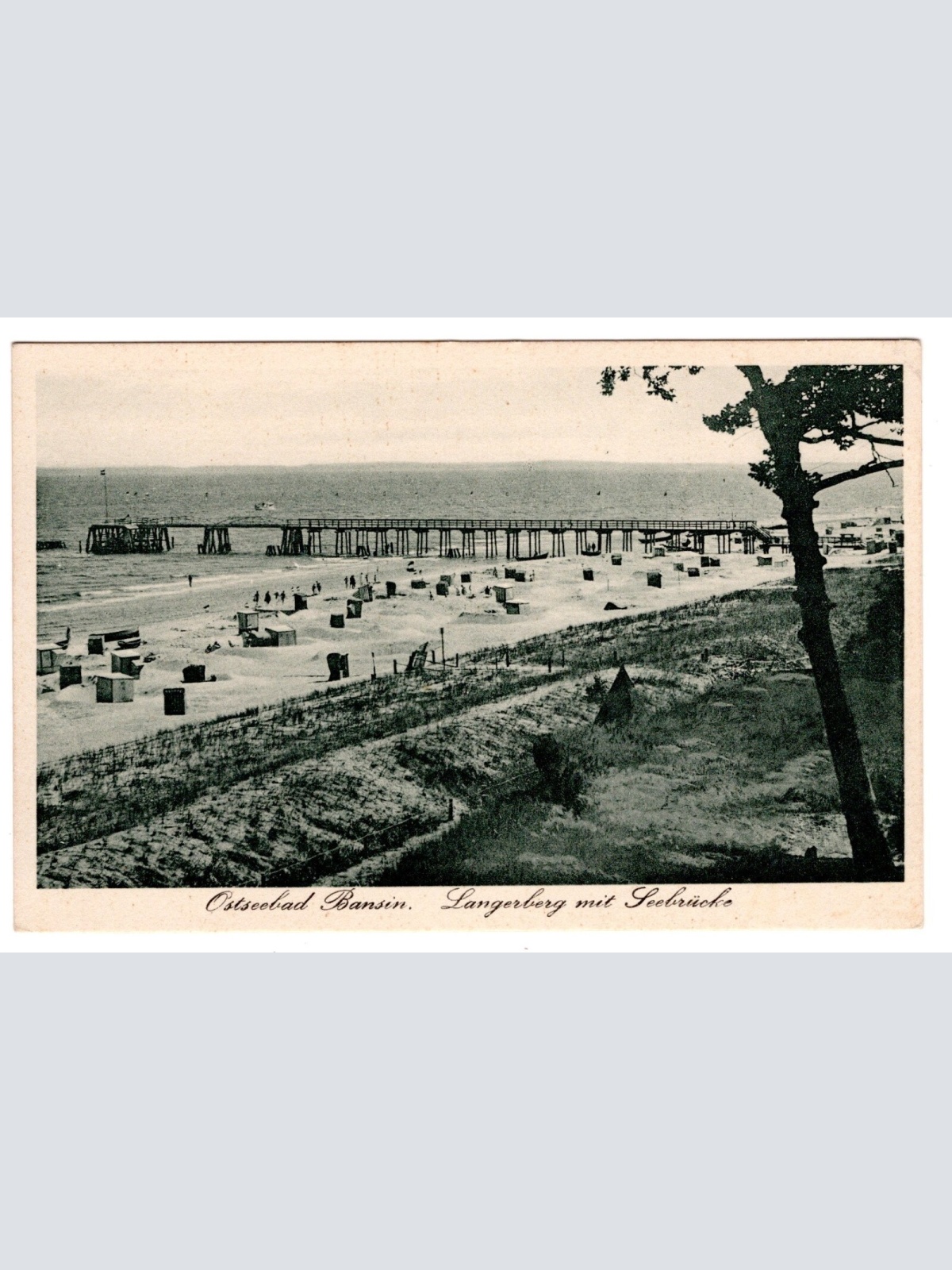 AK, Ostseebad Bansin, Langerberg mit Seebrücke, Ansichtskarte (S6310)