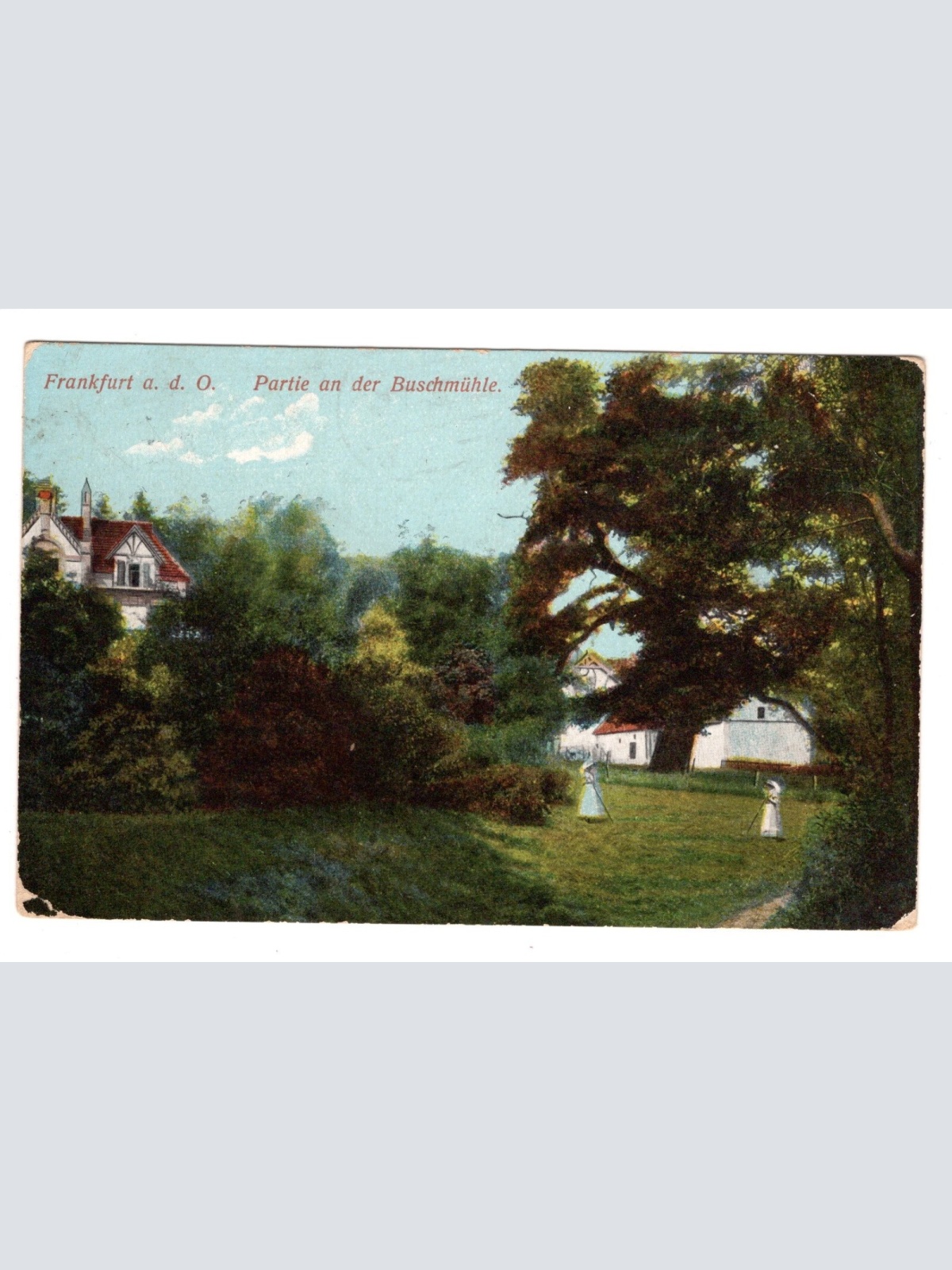 AK, Frankfurt, Partei an der Buschmühle, Brandenburg, Ansichtskarte (S6315)