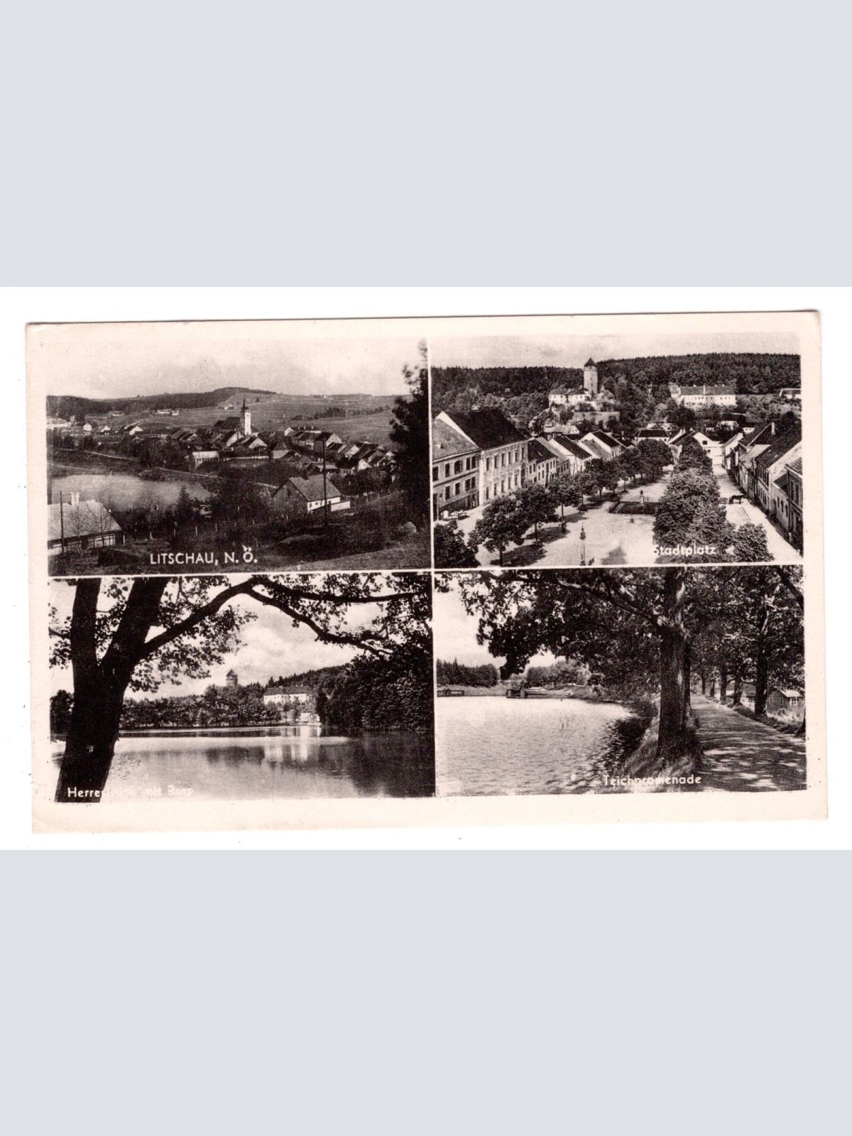 AK, Litschau, Niederösterreich, Ansichtskarte (S6342)