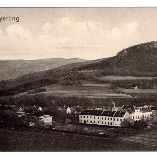 AK, Mayerling, Niederösterreich, Ansichtskarte (S6438)