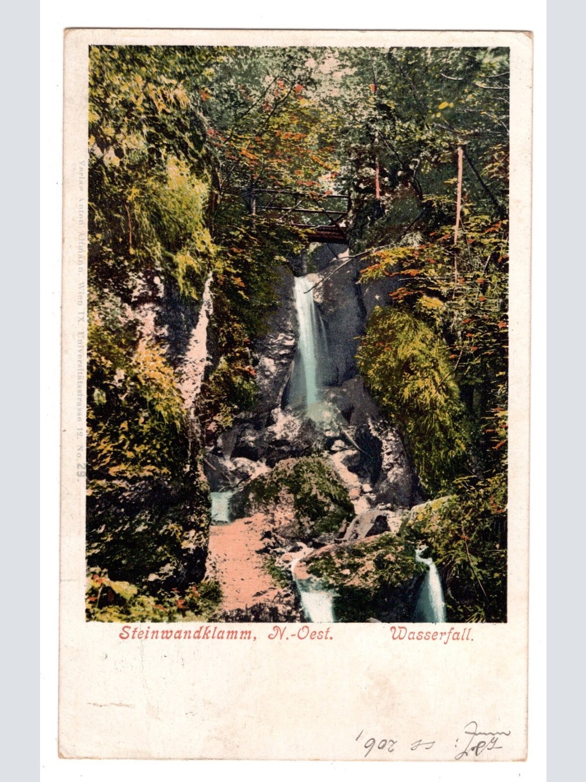 AK, Steinwandklamm, Wasserfall, Niederösterreich, Ansichtskarte (S6509)