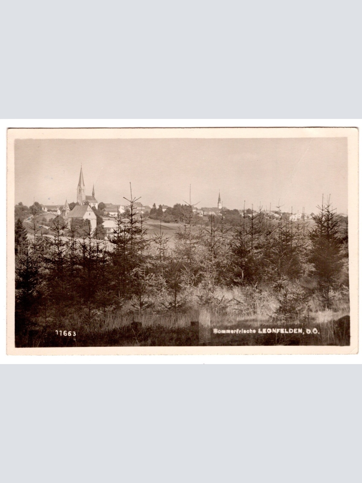 AK, Leonfelden, Oberösterreich, Ansichtskarte (S6559)