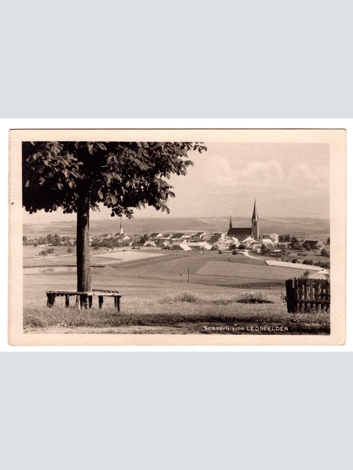AK, Leonfelden, Oberösterreich, Ansichtskarte (S6560)