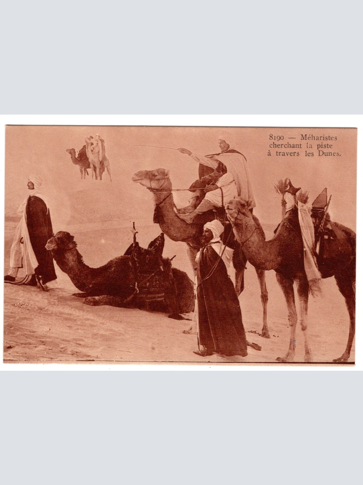 AK, Meharistes cherchant la piste a travers les Dunes, Ansichtskarte (S6601)