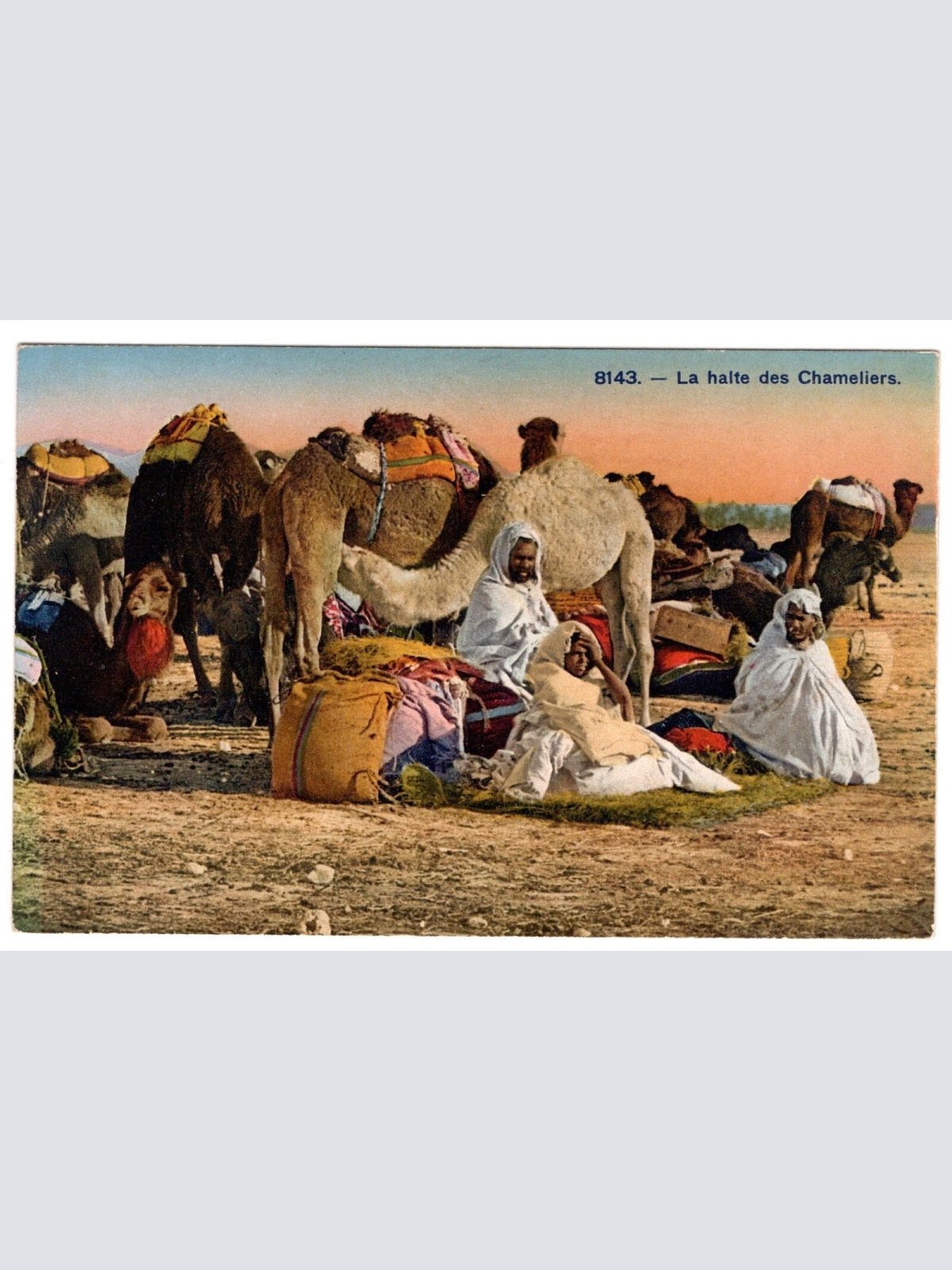 AK, La halte des Chameliers, Ansichtskarte (S6603)