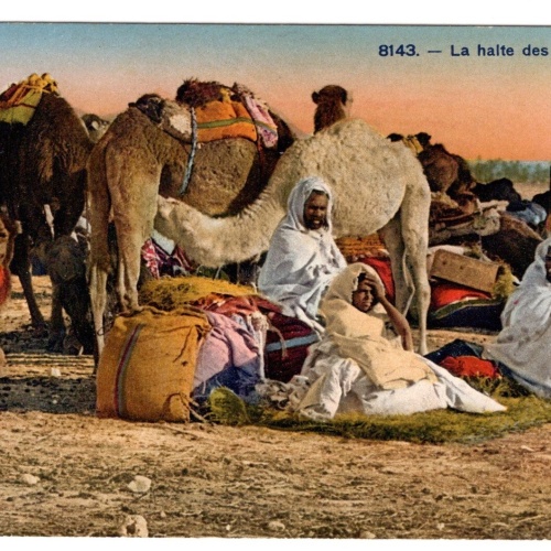 AK, La halte des Chameliers, Ansichtskarte (S6603)