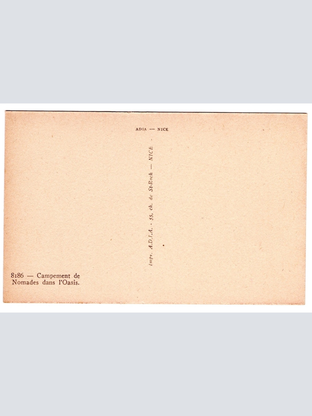 AK, Campement de Nomades dans l'Oasis, Ansichtskarte (S6615)