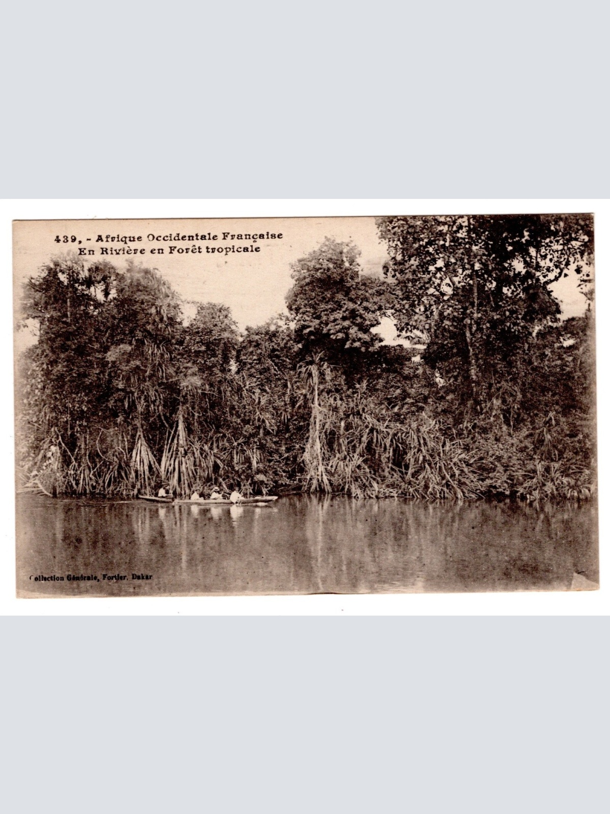 AK, Afrique Occidentale Francaise en riviere en Foret, Ansichtskarte (S6618)