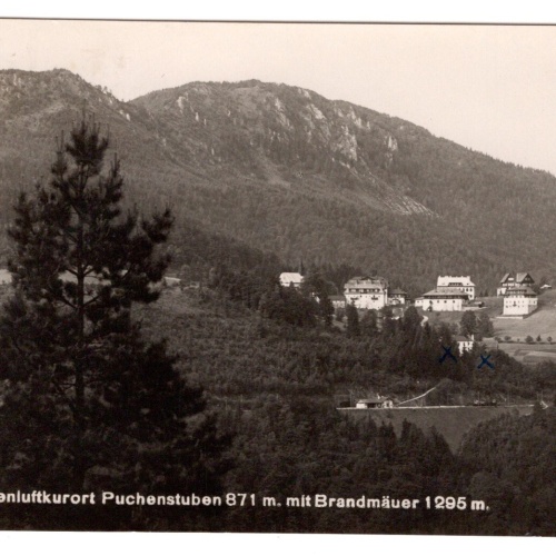 AK, Puchenstuben, Niederösterreich, Ansichtskarte (S6652)