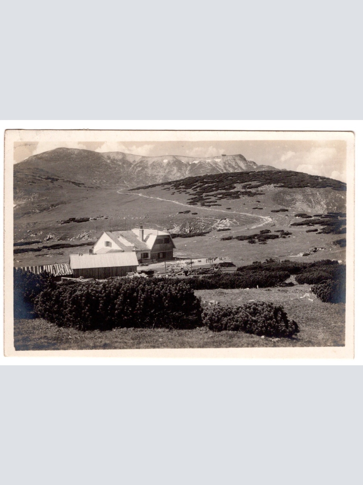 AK, Hochschneeberg mit Damböckhaus, Niederösterreich, Ansichtskarte (S6671)