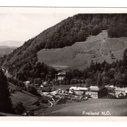 AK, Freiland, Niederösterreich, Ansichtskarte (S6693)