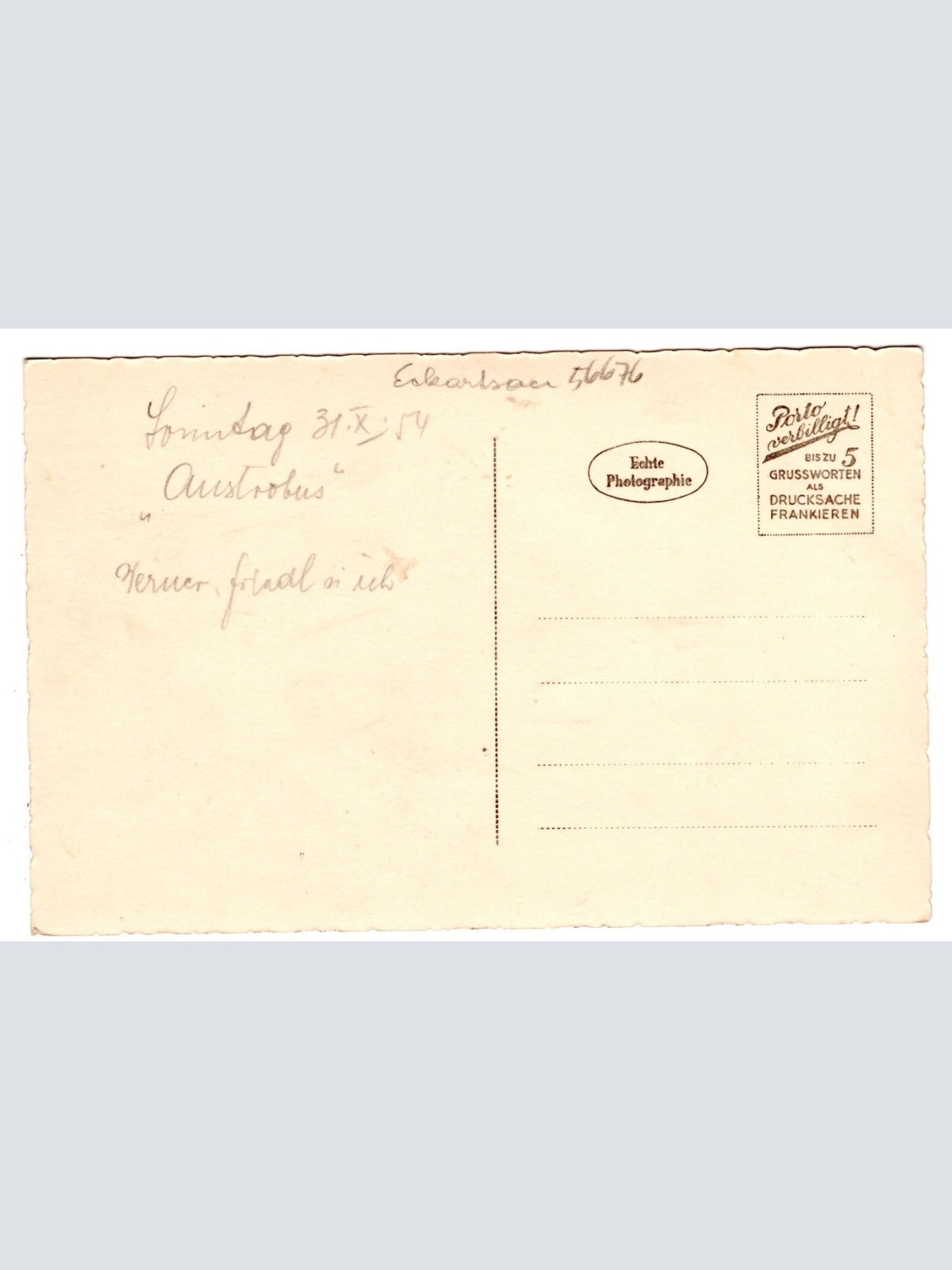 AK, Eckartsau, Niederösterreich, Ansichtskarte (S6694)