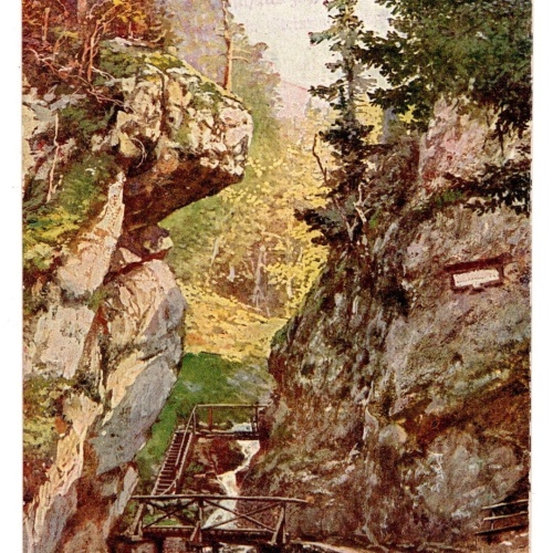AK, Eingang in die Steinwandklamm, Niederösterreich, Ansichtskarte (S6711)