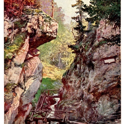 AK, Eingang in die Steinwandklamm, Niederösterreich, Ansichtskarte (S6712)