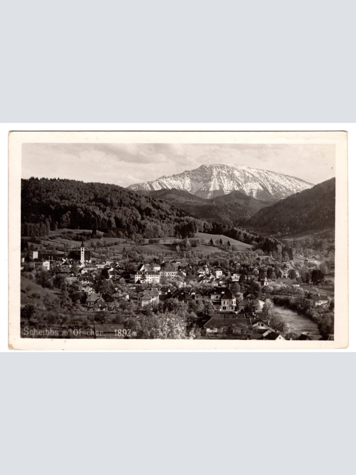 AK, Scheibbs mit Ötscher, Niederösterreich, Ansichtskarte (S6730)